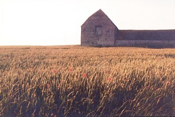 Featured is a postcard image of a golden wheatfield ... a stereotypical sight in the American Midwest.  Photo by The Lanes Photo Shop.  The original unused Athena Art card is for sale in The unltd.com Store.